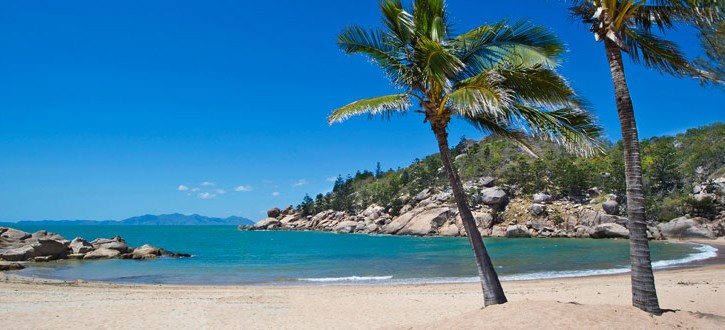 Alma-Beach-Palms-7272-850W