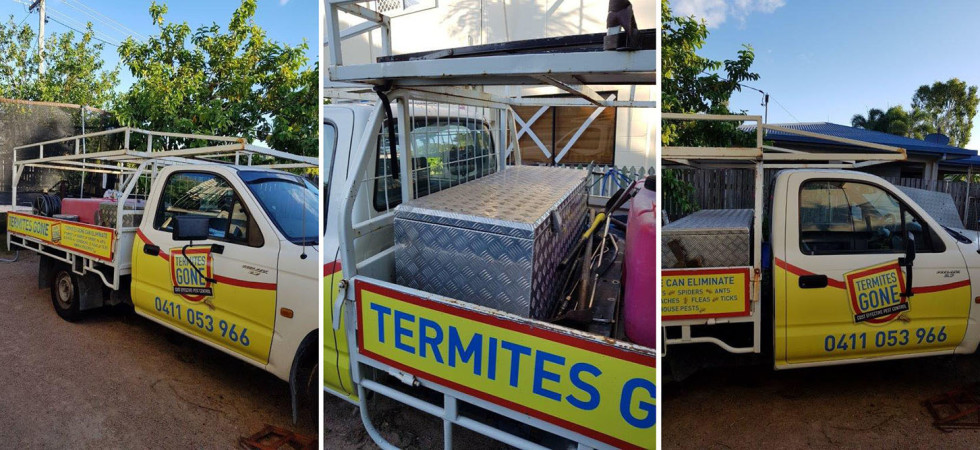 termites-gone-3