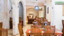 zizzi-4