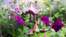Spring Fairy Garden - Potted Colour