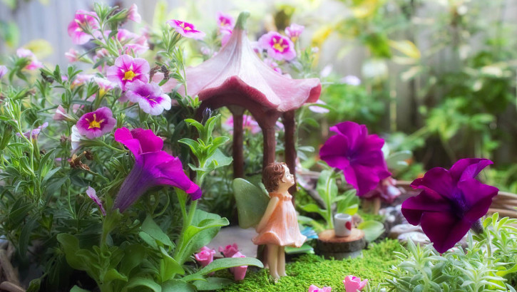 Spring Fairy Garden - Potted Colour