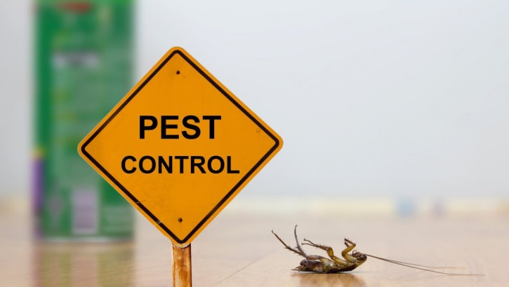 reliable-pest-control