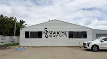 seahorse-aquatic-swim-school-9
